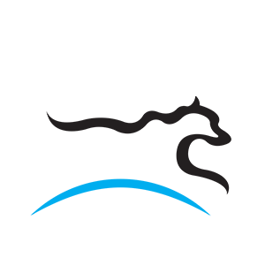 Logo Frontpage1